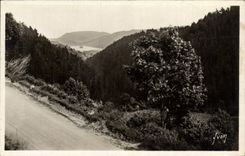 CPM Environs du Mont Dore Le lac chambon vu de la route du Mont Dore