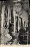 VINTAGE POSTCARD Caves De Betharram Octopuses