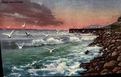 VINTAGE POSTCARD Day of Storm Gulls