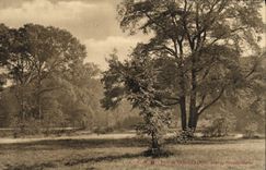 Parque de la POSTAL de la VENDIMIA de la nube de cierre Saint la gavilla grande