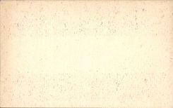 VINTAGE POSTCARD Toros Bull