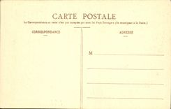 CPA Parc de Saint Cloud Etude d'arbres pres le rond de chasse