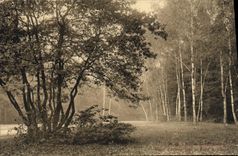 Los detalles santos del parque de la nube de la POSTAL de la VENDIMIA de árboles cierran el redondo de la caza