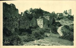 VINTAGE POSTCARD Hyeres the Palm trees Ruins of the Old Feudal Castle