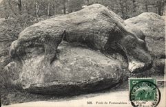 VINTAGE POSTCARD Drill of Fontainebleau the Octopus
