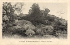 CPA Foret de Fontainebleau Rocher de Bouligny