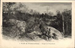 CPA Foret de Fontainebleau Gorges de Franchard