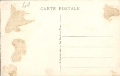 CPA Blois Le Chateau Facade Francois 1er