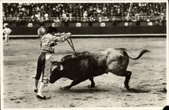 MODERN CARD Suerte De Banderillas the Banderillas Bullfight Bull