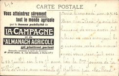 VINTAGE POSTCARD the Bateau wreck Fishes