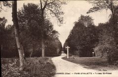 CPA Fleurines Foret D'Halatte Poteau St Priest