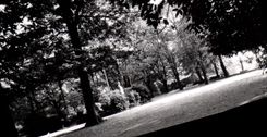 CPM Pau Parc Beaumont Allee Brunel et kiosque a musique