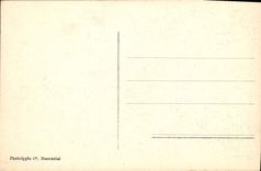 VINTAGE POSTCARD Collar of the Rocks Tunnels