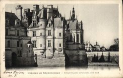 Castillo de Chenonceaux de la POSTAL de la VENDIMIA del ataque frontal del este del detalle