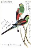 VINTAGE POSTCARD Fantaisie Lives Alice Oiseaux Parakeets Sainte