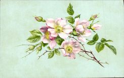 CPA Fantaisie Fleurs 