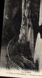 VINTAGE POSTCARD Cave of Betharram Columns in Formation