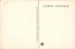 VINTAGE POSTCARD Cave of Betharram Columns in Formation