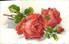 CPA Fantaisie Fleurs 