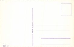 CPA Fantaisie Fleurs