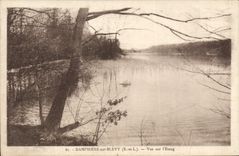 POSTAL Dampierre de la VENDIMIA en Blevy visto en la charca