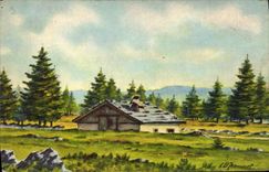 VINTAGE POSTCARD Fantasy House in the mountain pastures