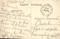 VINTAGE POSTCARD the Large Mount Cenis Glacier of the Pine cones and Point of Bramble