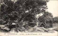 CPA Fontainebleau La Foret La Mare de Franchard