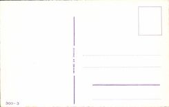 CPA Fantaisie Fleurs