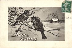 CPA Fantaisie Oiseaux Bonne annee