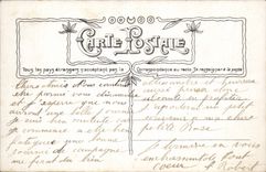 VINTAGE POSTCARD Fantasy Woman Swan Duck