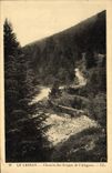 CPA Le Lioran Chemin Des Gorges De I'Alagnon