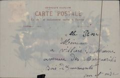 CPA Fantaisie Fleurs (carte transparente)