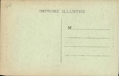 VINTAGE POSTCARD Caves of Betharram Giant Column