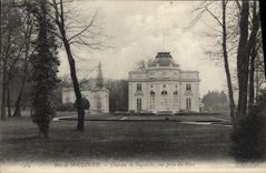 CPA Bois de Boulogne Chateau de Bagatelle une prise du Parc 