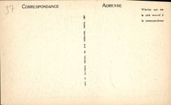 CPA Azay le Rideau L'Indre et le Chateau 