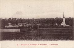 Colección de la POSTAL de la VENDIMIA de Baslique de la madera de madera de Chenu Chenu