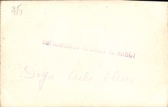 VINTAGE POSTCARD Drill of Mervent Canton of St Hilaire of the cabins the bridge of the flood the dry torrent