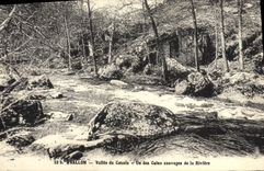 CPA Avallon Vallee du Cousin Un des Coins sauvages de la Riviere