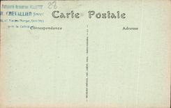 CPA Cathedrale De Chartres La Nef et le Choeur