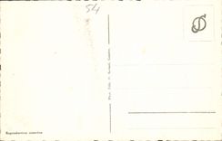 VINTAGE POSTCARD Montreux Clarens Vevey and the MT Pilgrim