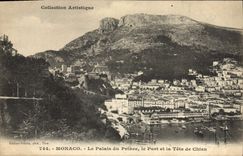 VINTAGE POSTCARD Monaco the Palate Of the Prince the Port And the Head Of Dog