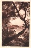 VINTAGE POSTCARD Corsica