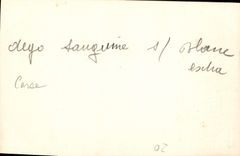 POSTAL Córcega de la VENDIMIA