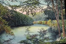 VINTAGE POSTCARD Auvergne Bourboule Lake Of the Stopping