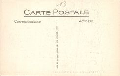 CPA Vue generale des Saintes Maries Moutons