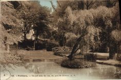 CPA Poitiers Un joli coin du Lac du parc de Blossac