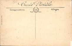 CPA Amiens Les Hortillonnages L'Ile robinson