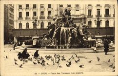 La POSTAL Lyon de la VENDIMIA coloca los estiércoles vegetales Plgeons