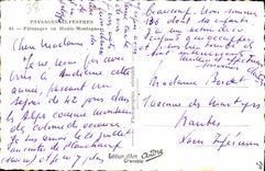 MODERN CARD Pastures in high mountain Cows